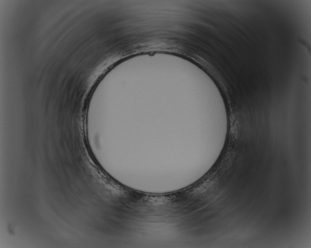 X0000103231043200809251259