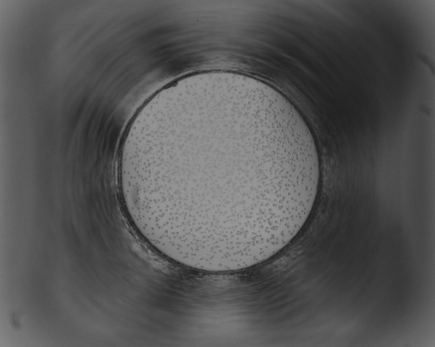 X0000103231044200809251259