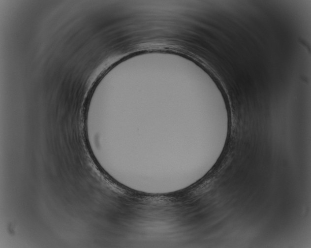 X0000103231045200809251259