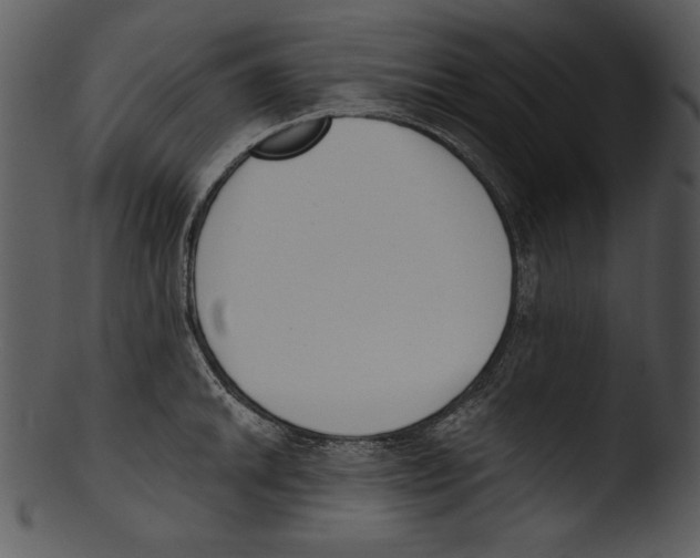 X0000103231046200809251300