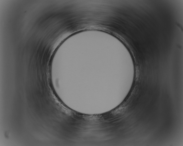 X0000103231048200809251300