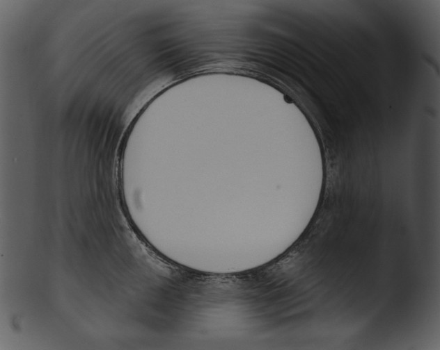 X0000103231050200809251300