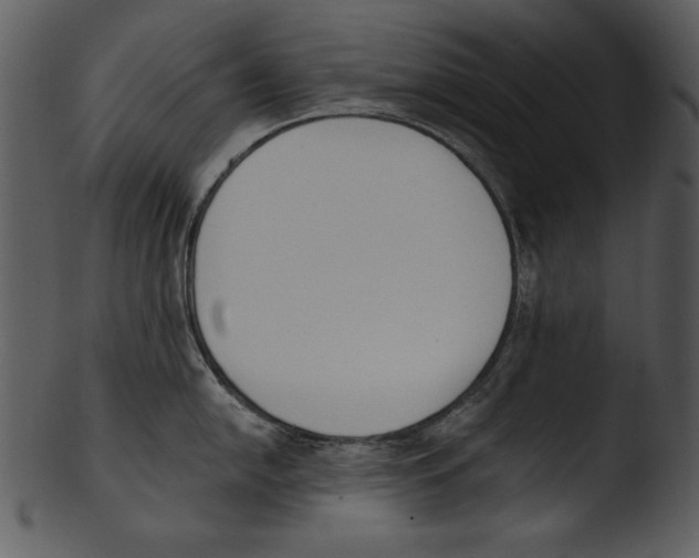 X0000103231054200809251300