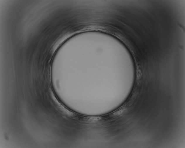X0000103231055200809251300