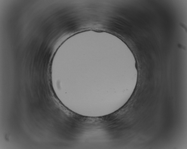 X0000103231056200809251300