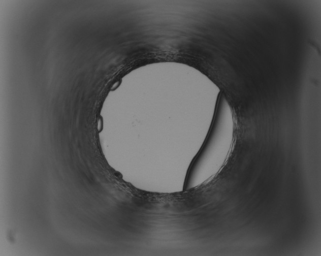 X0000103231057200809251259