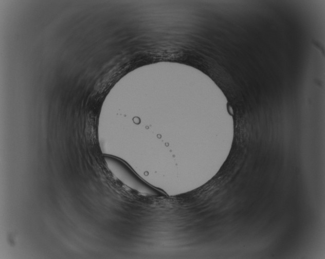 X0000103231058200809251259