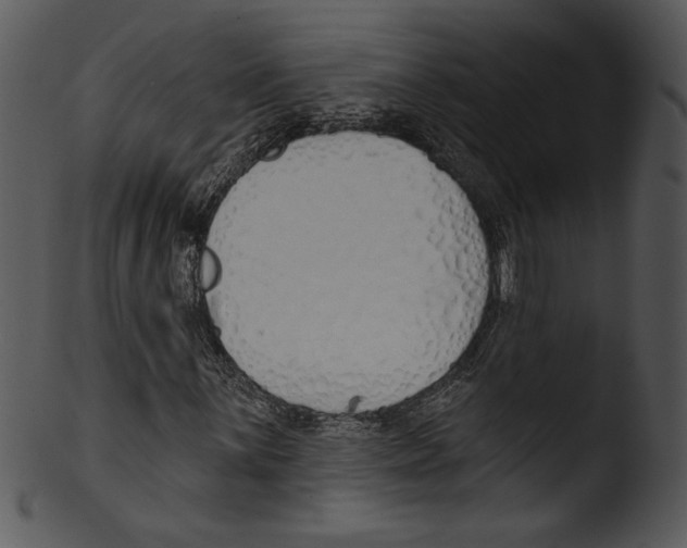 X0000103231059200809251259