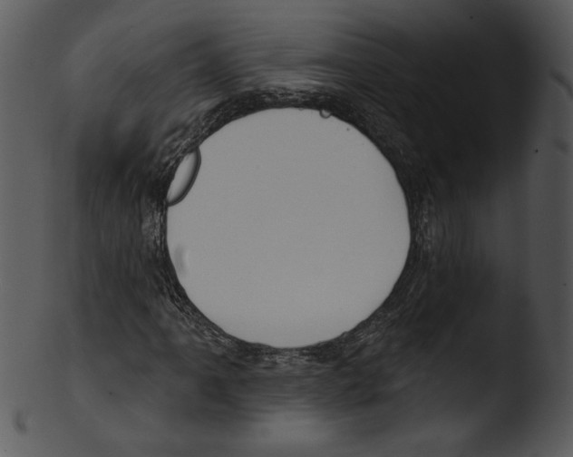 X0000103231061200809251259