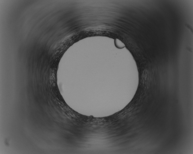X0000103231062200809251259