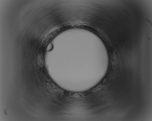 X0000103231063200809251259