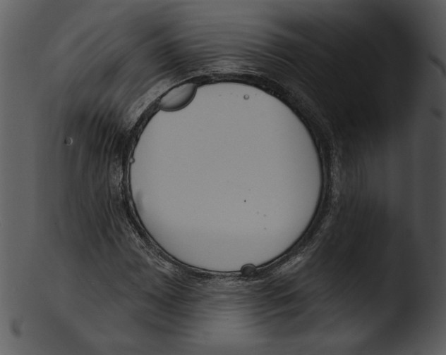X0000103231065200809251259