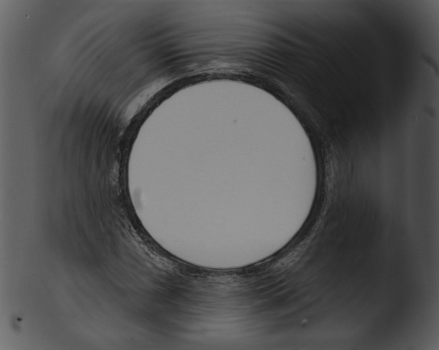 X0000103231066200809251259