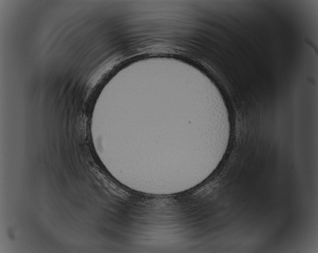 X0000103231067200809251259