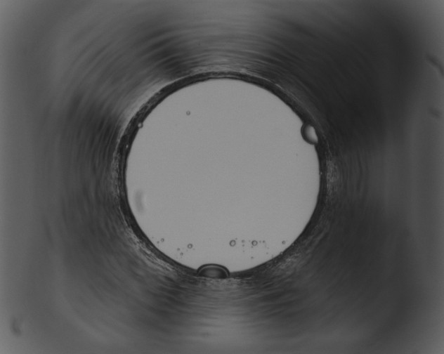 X0000103231068200809251259