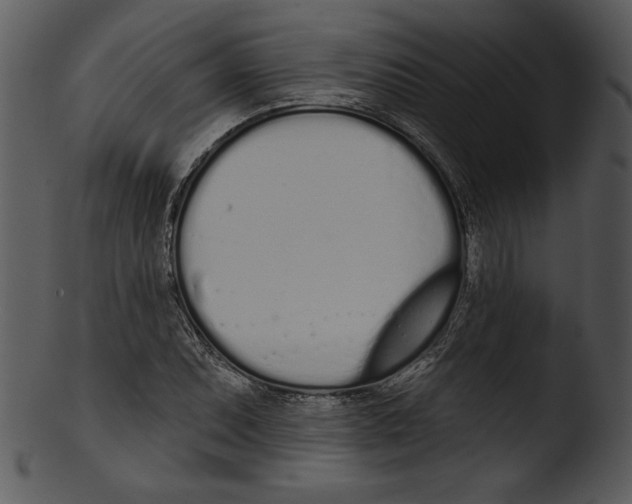 X0000103231071200809251259