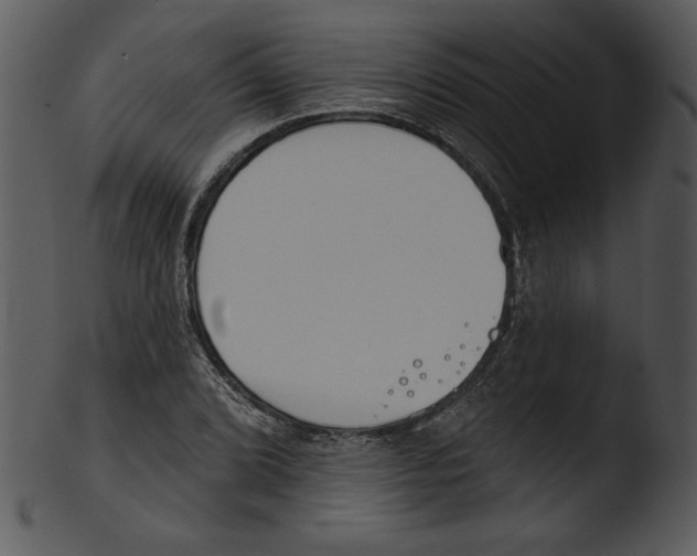 X0000103231072200809251259
