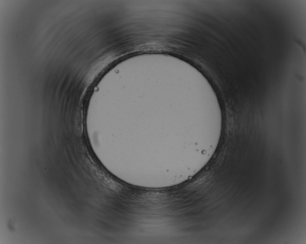 X0000103231075200809251259