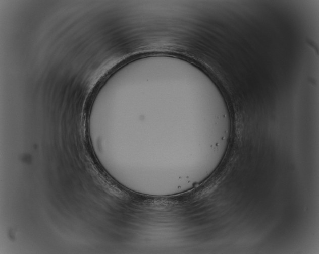 X0000103231077200809251259