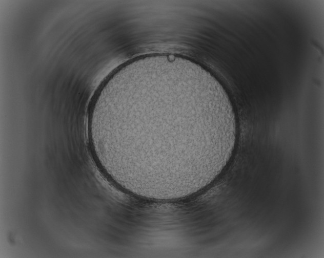 X0000103231079200809251259