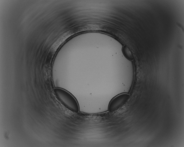 X0000103231081200809251259