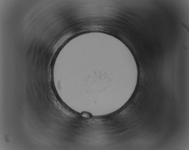 X0000103231082200809251259