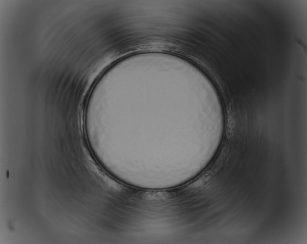 X0000103231083200809251259
