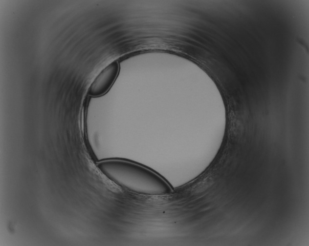 X0000103231084200809251259