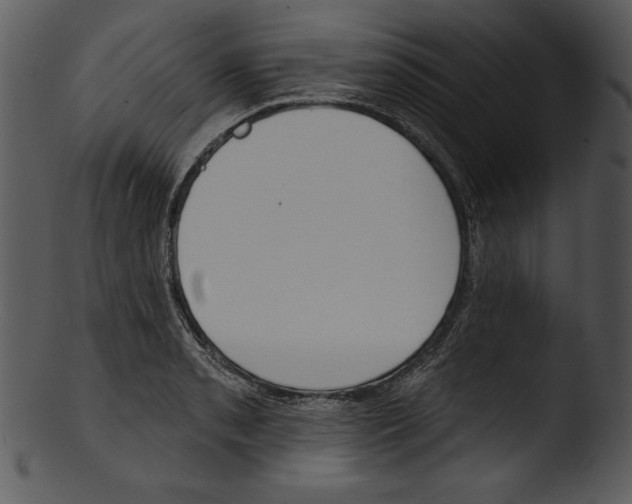 X0000103231085200809251259