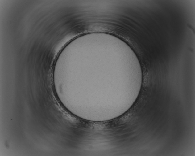 X0000103231086200809251259