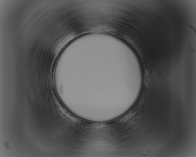 X0000103231087200809251259