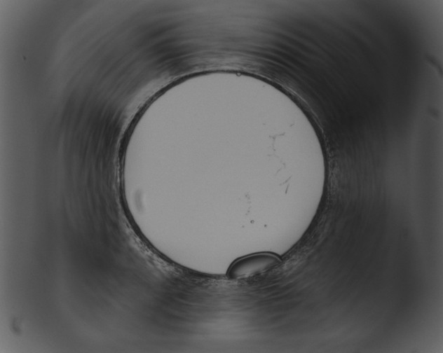 X0000103231088200809251259
