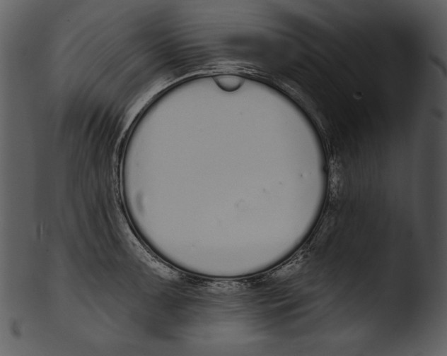 X0000103231091200809251259