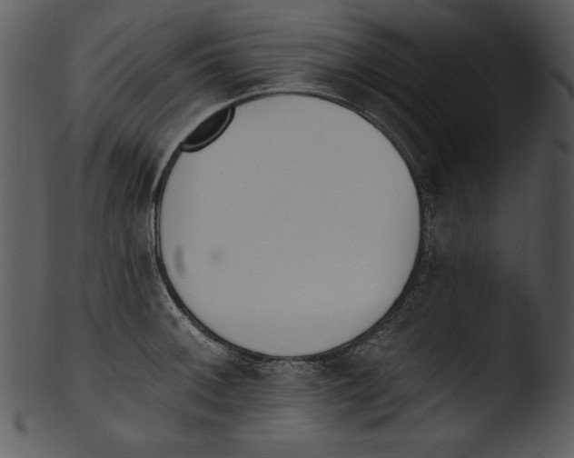 X0000103231092200809251259