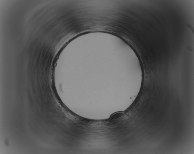 X0000103231093200809251258