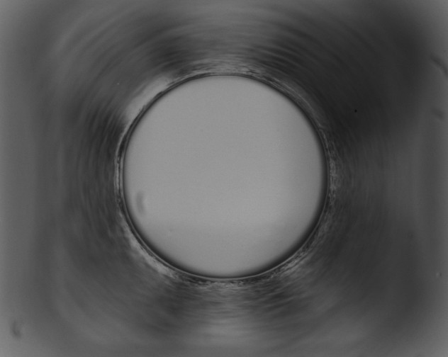X0000103231095200809251258