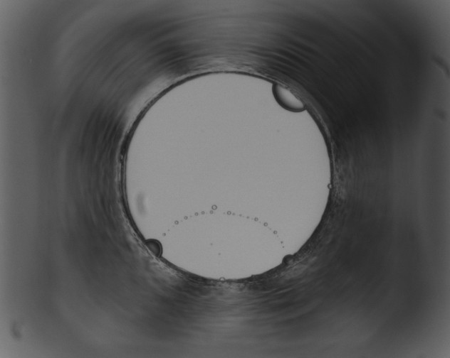 X0000103231096200809251258
