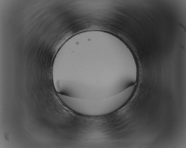 X0000103231097200809251258