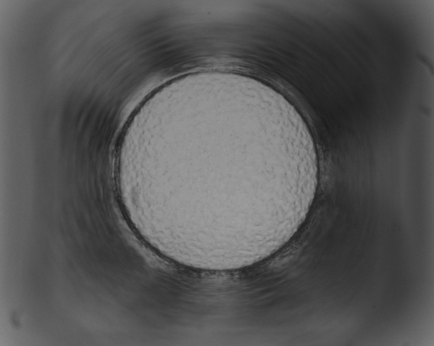 X0000103231099200809251258
