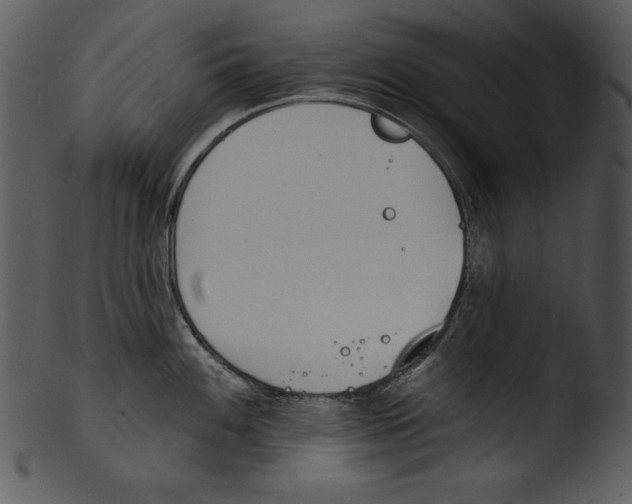 X0000103231100200809251258