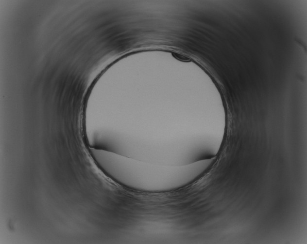 X0000103231101200809251258