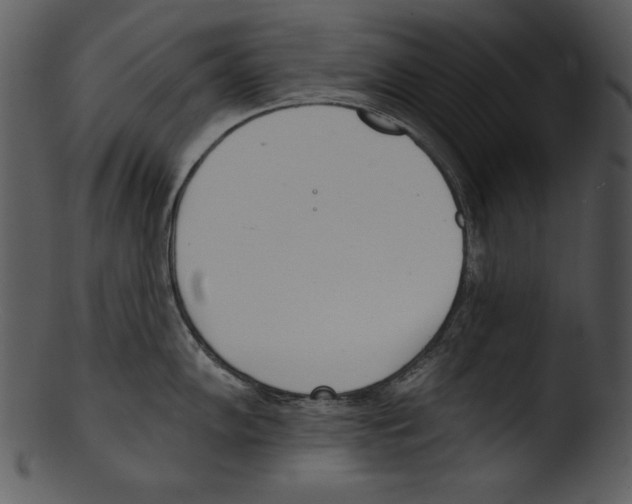 X0000103231102200809251258