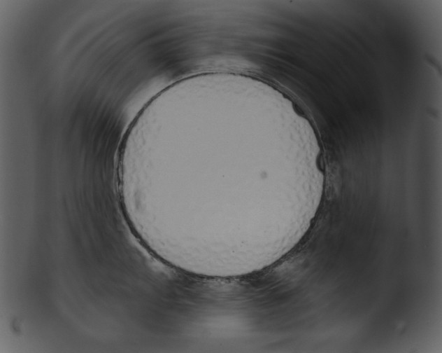 X0000103231103200809251258