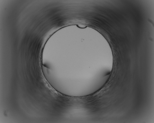 X0000103231104200809251258