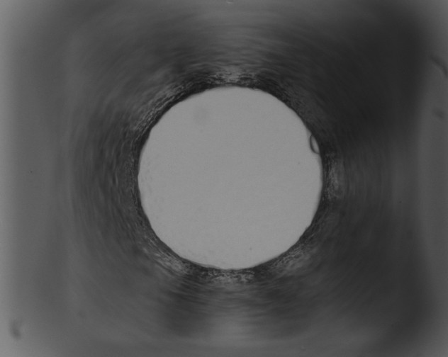 X0000103231105200809251258