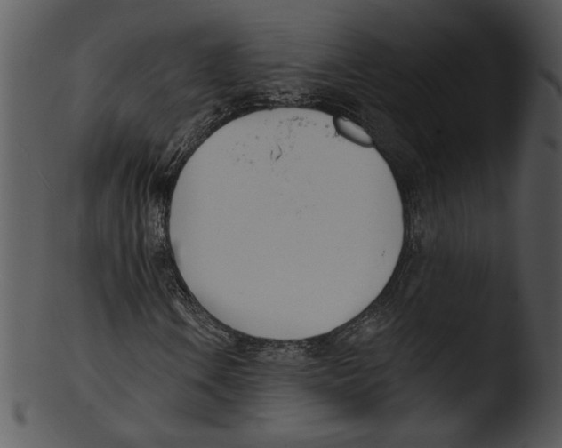 X0000103231106200809251258