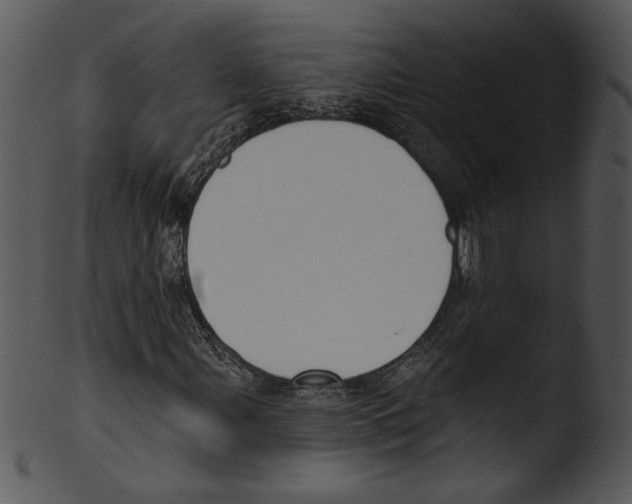 X0000103231107200809251258