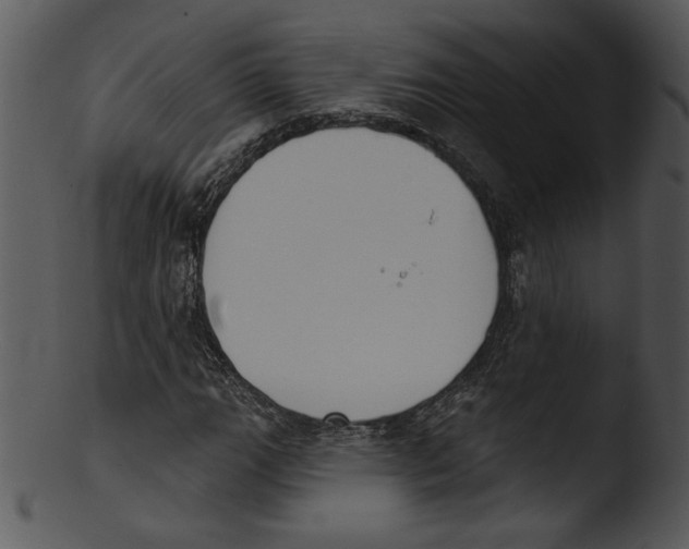 X0000103231111200809251258