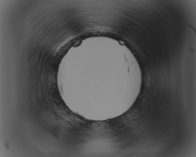 X0000103231112200809251258