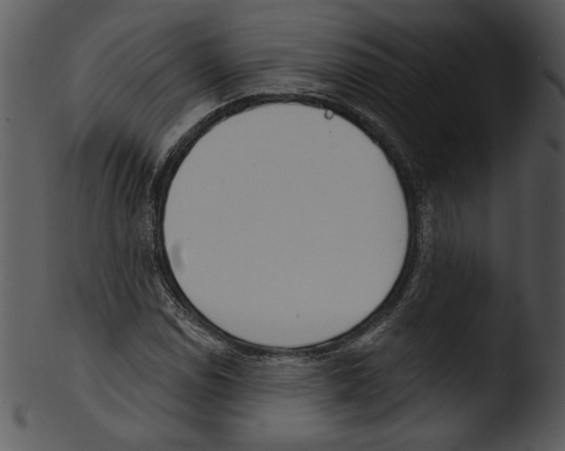 X0000103231114200809251258